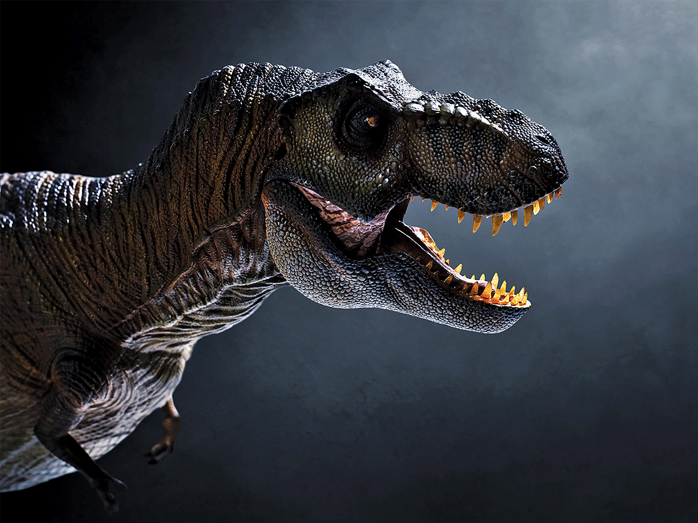Evolutionary Dinosaur Myths Debunked The Institute for Creation Research
